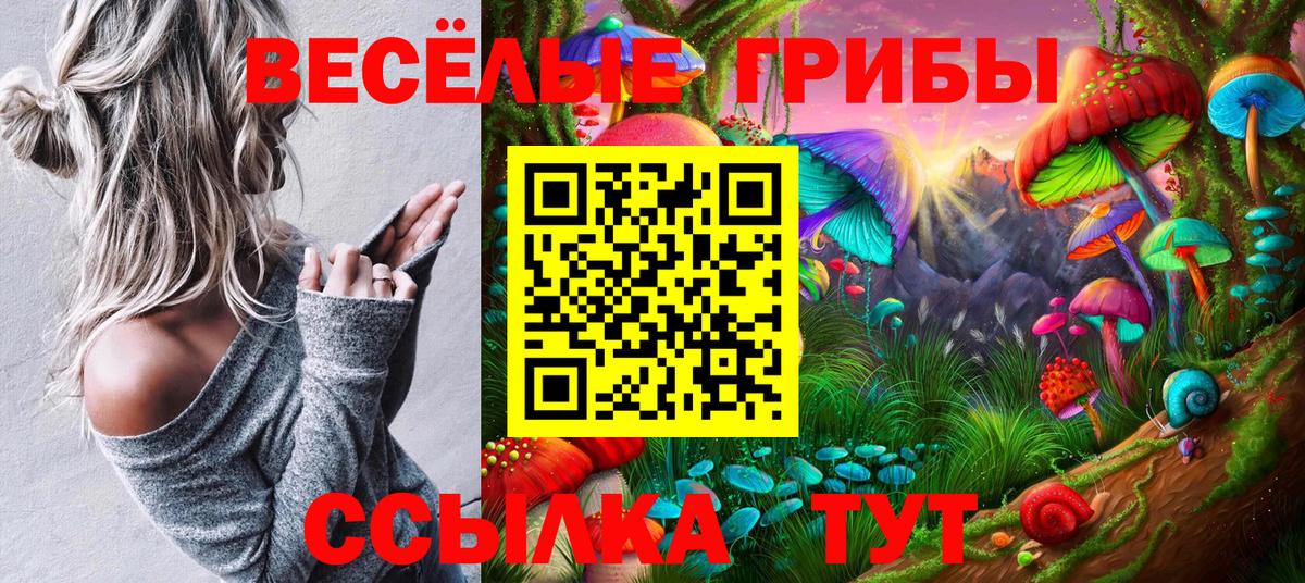 Галлюциногенные грибы MAGIC MUSHROOMS  наркота  Отрадное  Вход с VPN 